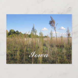 Weeds, Trees en Sky Iowa Briefkaart