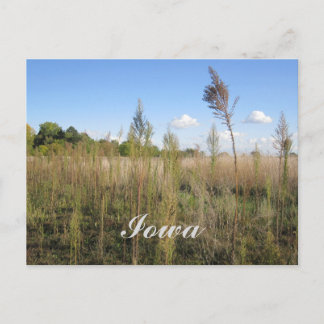Weeds, Trees en Sky Iowa Briefkaart