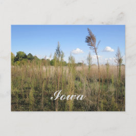 Weeds, Trees en Sky Iowa Briefkaart