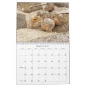 Weeds, zaden en bessen #1 Kalender (Mar 2027)