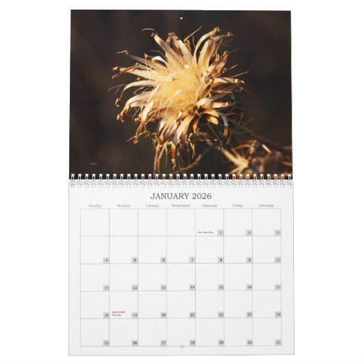 Weeds, zaden en bessen #1 Kalender (Jan 2026)