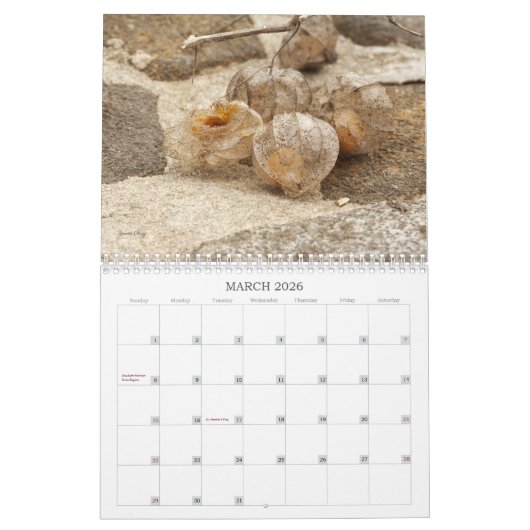 Weeds, zaden en bessen #1 Kalender (Mar 2026)