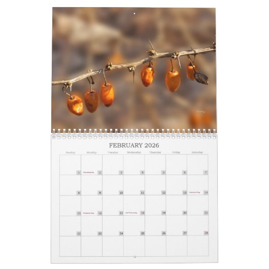 Weeds, zaden en bessen #1 Kalender (Feb 2026)