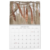Weeds, zaden en bessen #2 Kalender (Jan 2027)