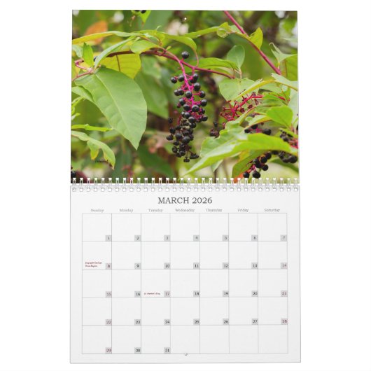 Weeds, zaden en bessen #2 Kalender (Mar 2026)