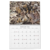 Weeds, zaden en bessen #2 Kalender (Feb 2026)