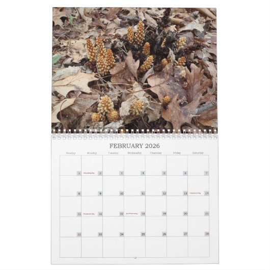 Weeds, zaden en bessen #2 Kalender (Feb 2026)