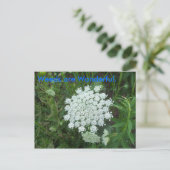 Weeds zijn geweldig. briefkaart (Staand voorkant)