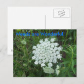 Weeds zijn geweldig. briefkaart (Voorkant / Achterkant)