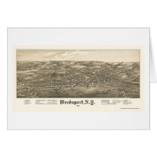 Weedsport, NY Panoramic Map - 1885