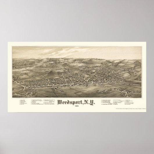 Weedsport, NY Panoramic Map - 1885 Poster (Voorkant)