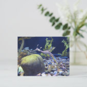 Weedy Seadragon # 1 Briefkaart (Staand voorkant)