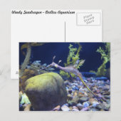 Weedy Seadragon # 2 Briefkaart (Voorkant / Achterkant)