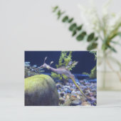 Weedy Seadragon # 3 Briefkaart (Staand voorkant)