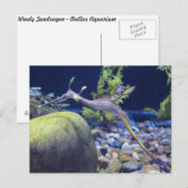 Weedy Seadragon # 3 Briefkaart (Voorkant / Achterkant)