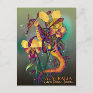 Weedy Seadragon met Orchids Briefkaart