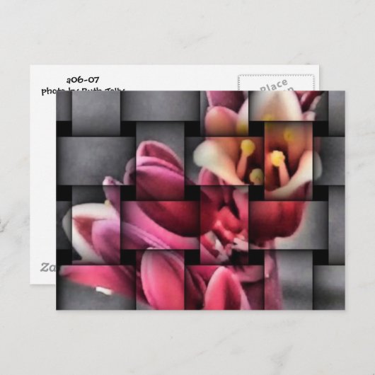 weef me een briefkaart (Voorkant / Achterkant)