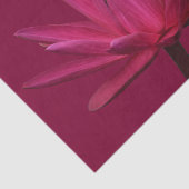 Weefpapier voor Bourgogne Pink Water Lily Tissuepapier (Detail)