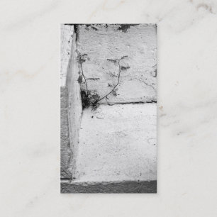 Weefsel op betonstaal Visitekaartje