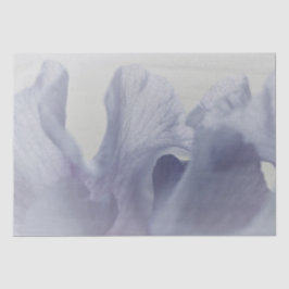 Weefsel. Papier (2) Set Zachte Irisbloemblaadjes