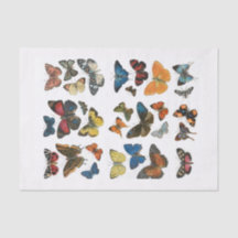 Weefsel Papier vlinder ontkoppeling