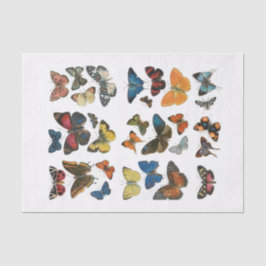 Weefsel Papier vlinder ontkoppeling