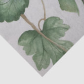 Weefsel van Elegant Pink Hummingbird Waterverf Tissuepapier (Detail)