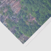 weefsel van hindu ' s tissuepapier (Detail)