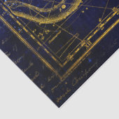 weefsel van kat - en slangenconstellatie tissuepapier (Detail)