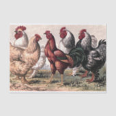 Weefsel van Land Roosters Tissuepapier (Voorkant)