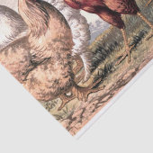 Weefsel van  Land Roosters Tissuepapier (Detail)