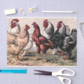 Weefsel van  Land Roosters Tissuepapier (Craft)