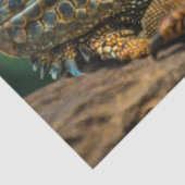 weefsel van reptiel tissuepapier (Detail)