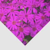 Weefseldocument Heldere Roze/Paarse madeliefjes Tissuepapier (Detail)