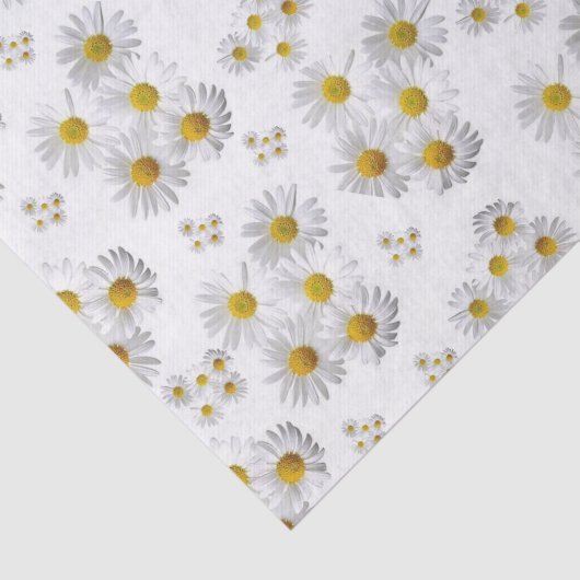 Weefseldocument Witte Daisy Tissuepapier (Detail)
