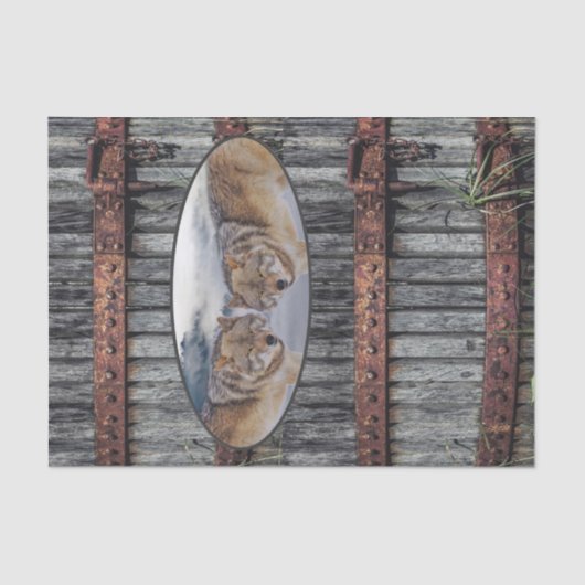 Weefseldocument Wolven Hout Tissuepapier (Voorkant)