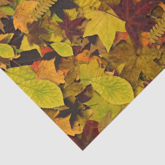 Weefselinpakpapier - Herfstbladeren Tissuepapier (Detail)