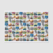 Weefselpapier 10 White met fotobewerking Tissuepapier (Voorkant)