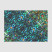 Weefselpapier - Abalone Tissuepapier (Voorkant)