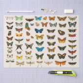 WEEFSELPAPIER:  BUTTERFLES KARAKTER TISSUEPAPIER (Craft)