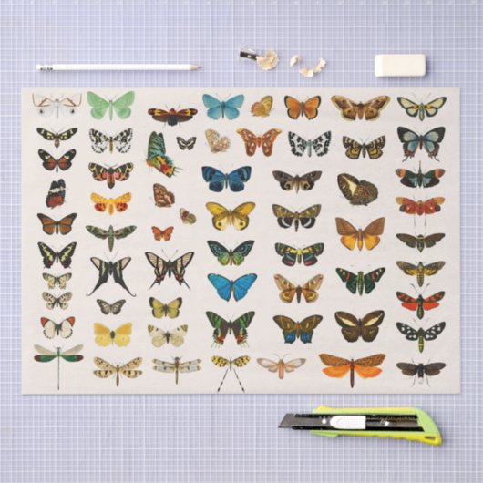 WEEFSELPAPIER:  BUTTERFLES KARAKTER TISSUEPAPIER (Craft)