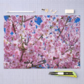 Weefselpapier Cherry Blossom Tissuepapier (Craft)