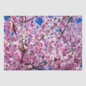 Weefselpapier Cherry Blossom Tissuepapier (Voorkant)