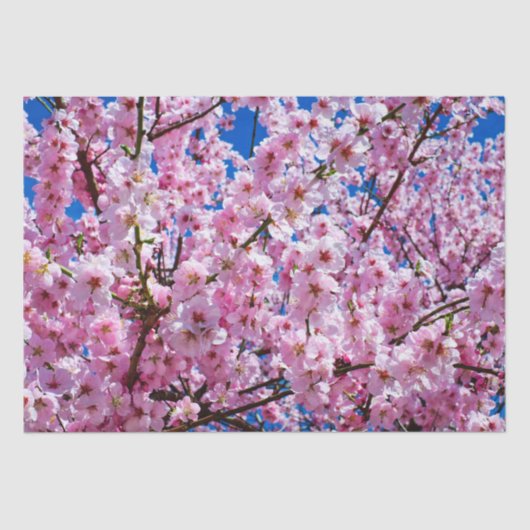 Weefselpapier Cherry Blossom Tissuepapier (Voorkant)