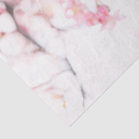 WEEFSELPAPIER: CHERRY BLOSSOMS WEEFSELPAPIER TISSUEPAPIER (Detail)