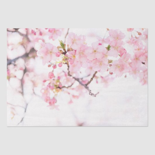WEEFSELPAPIER: CHERRY BLOSSOMS WEEFSELPAPIER TISSUEPAPIER (Voorkant)