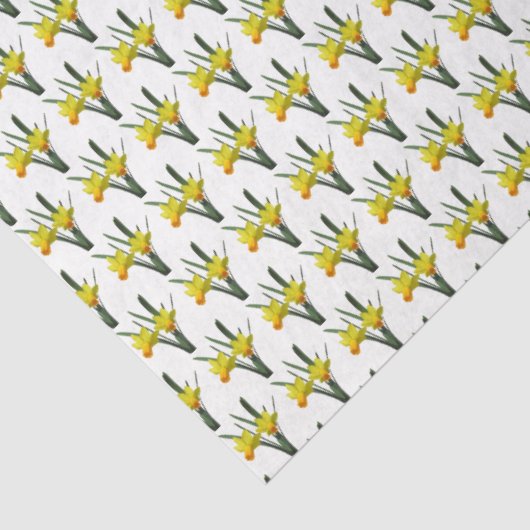 Weefselpapier - Daffodilatieveld Tissuepapier (Detail)