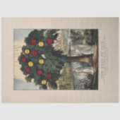 WEEFSELPAPIER : DE LEVENSMIDDELEN : 1870 TISSUEPAPIER (Voorkant)