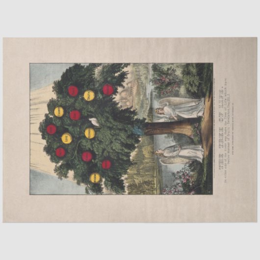 WEEFSELPAPIER : DE LEVENSMIDDELEN : 1870 TISSUEPAPIER (Voorkant)