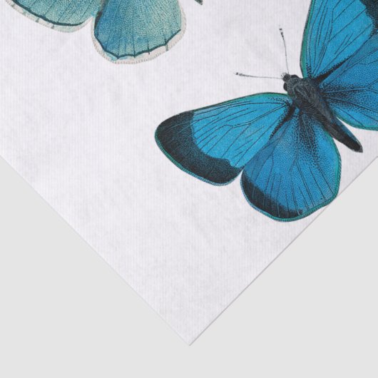 WEEFSELPAPIER DECOUPAGE : BUTTERFLIES TISSUEPAPIER (Detail)